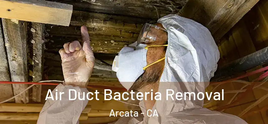  Air Duct Bacteria Removal Arcata - CA