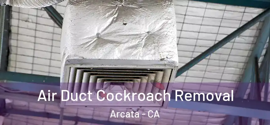  Air Duct Cockroach Removal Arcata - CA