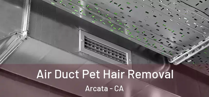  Air Duct Pet Hair Removal Arcata - CA