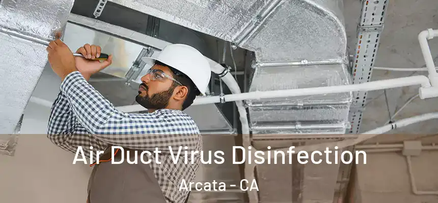  Air Duct Virus Disinfection Arcata - CA