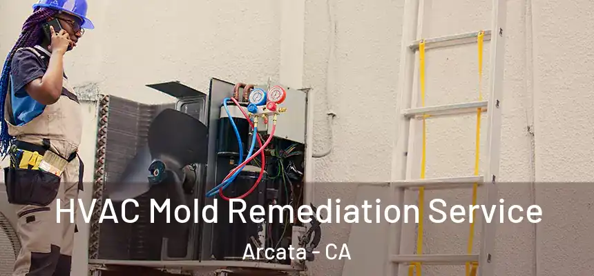  HVAC Mold Remediation Service Arcata - CA