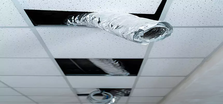 Our Air Duct Pet Hair Removal Services in Arcata, CA