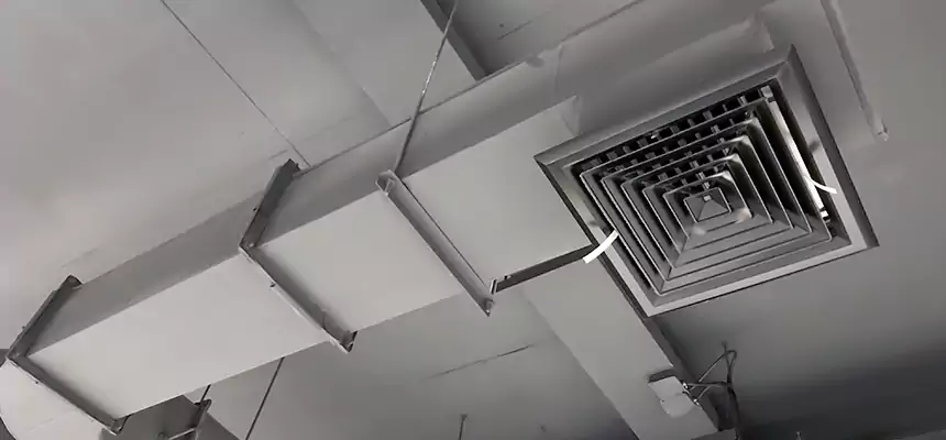 Our Pest Removal From Ducts Services in Arcata, CA