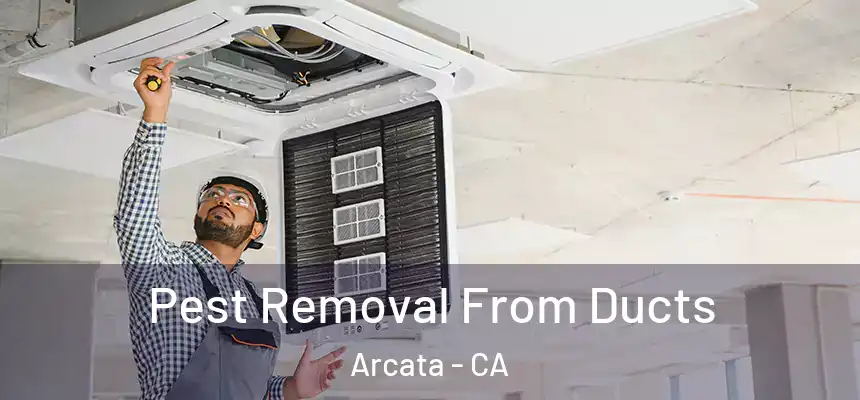  Pest Removal From Ducts Arcata - CA