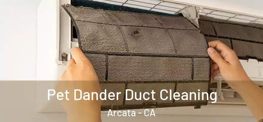  Pet Dander Duct Cleaning Arcata - CA