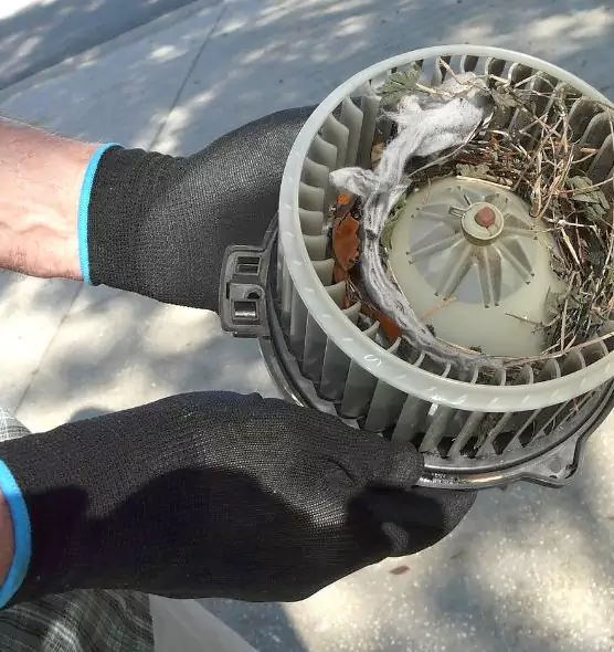 About Air Duct Rat Removal in Arcata, CA