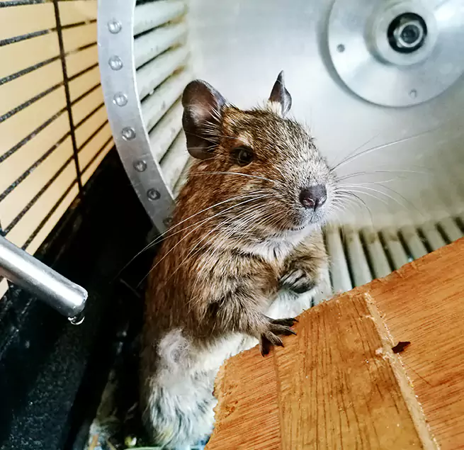 Why Homeowners & Businesses Trust Us Arcata, CA