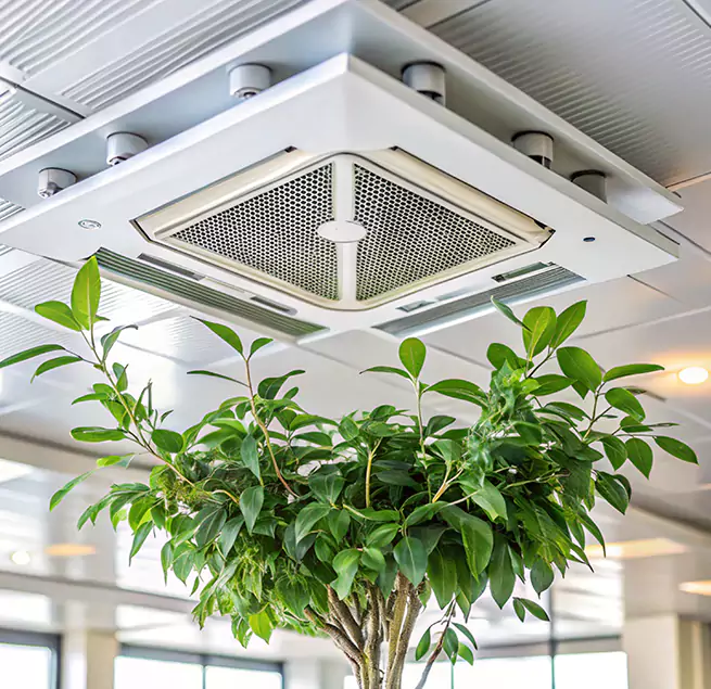 Why Homeowners & Businesses Trust Us in Arcata, CA?